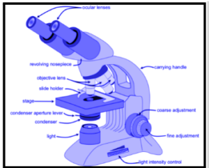 Microscope -The Detailed Study
