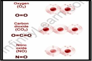 Electronic displacements in a covalent bond