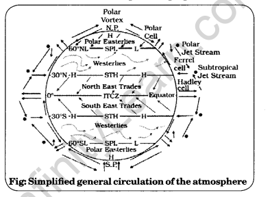 Class 11 Geography NCERT Solutions Chapter 10 Atmospheric Circulation and Weather Systems Q3