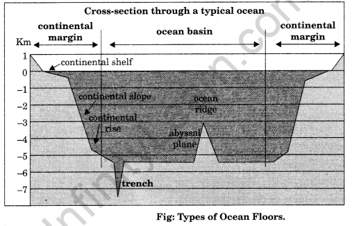 Class 11 Geography NCERT Solutions Chapter 13 Water (Oceans) Map Skills Q5