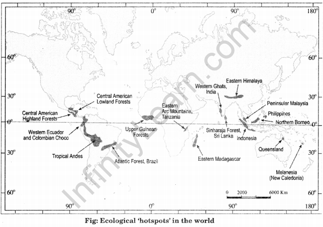 Class 11 Geography NCERT Solutions Chapter 16 Biodiversity and Conversation HOTS Q3