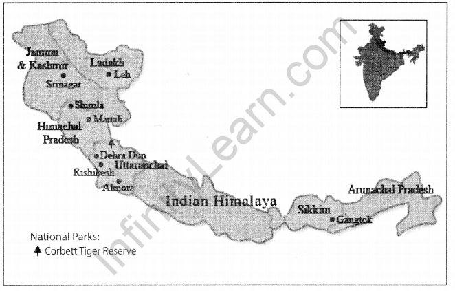 Class 11 Geography NCERT Solutions Chapter 2 Structure and Physiography Map Skills Q2