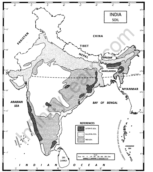 Class 11 Geography NCERT Solutions Chapter 6 Soils Activity Q2