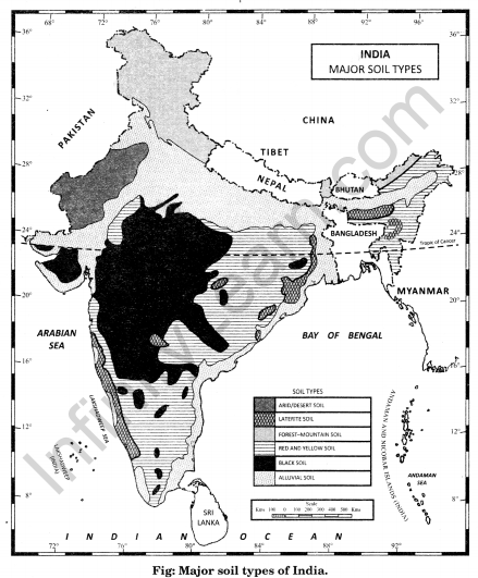 Class 11 Geography NCERT Solutions Chapter 6 Soils Map Skills Q1