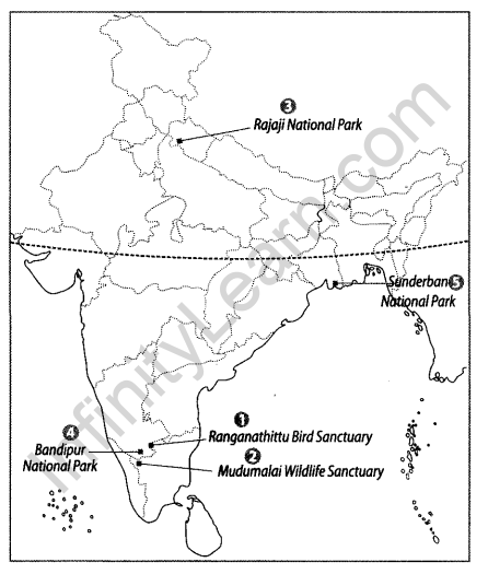 Class 9 Geography Map Work Chapter 5 Natural Vegetation and Wildlife a4.1