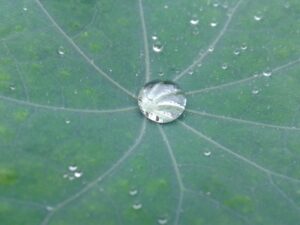 Application of Surface Tension