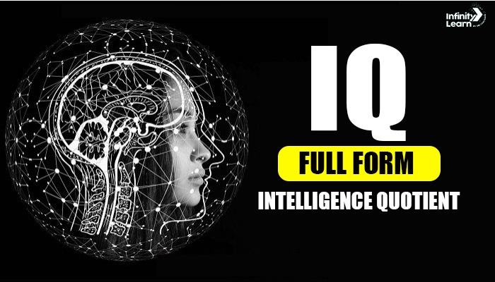 IQ Full Form - Intelligence Quotient 