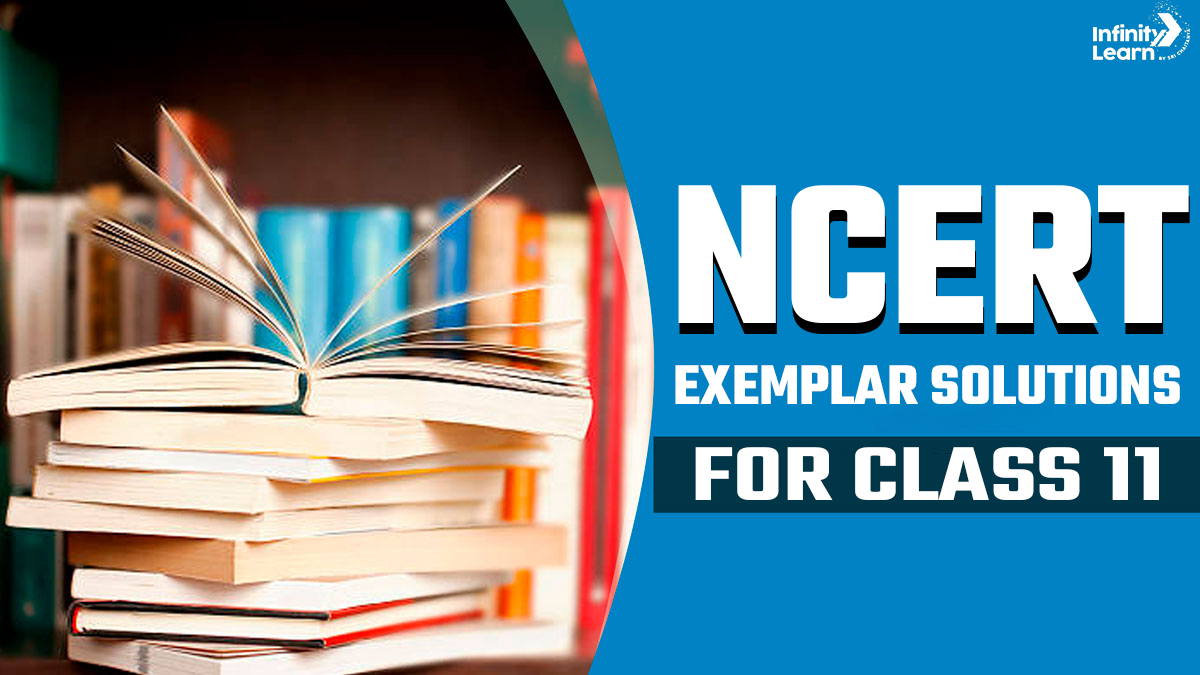 NCERT Exemplar Solutions For Class 11
