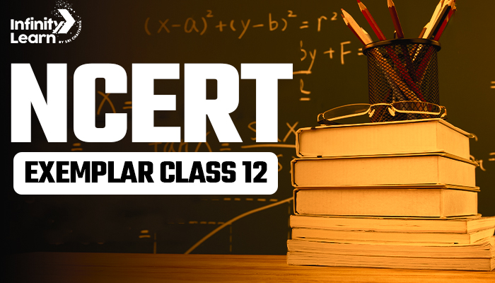 NCERT Exemplar Class 12 