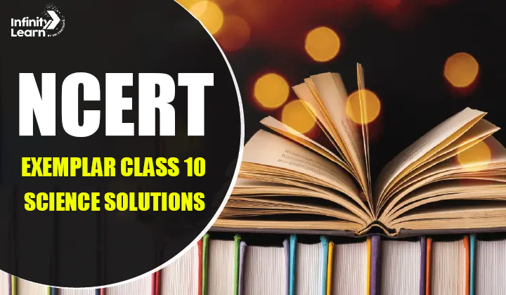 NCERT Exemplar Class 10 Science Solutions 
