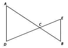 NCERT-Exemplar-Class-9-Maths-Chapter-5-Introduction-to-Euclid’s-Geometry-10