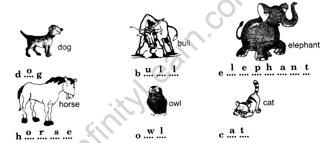 NCERT Solutions for Class 1 English Chapter 10 Circle Lets Read and Write Q2