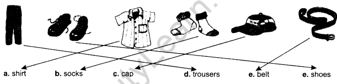 NCERT Solutions for Class 1 English Chapter 3 After a Bath Lets Share Q2