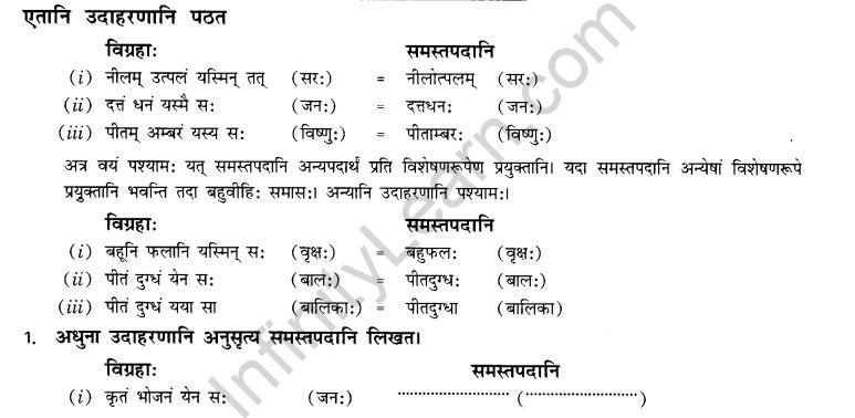 NCERT Solutions for Class 10th Sanskrit Chapter 3 Samasah 23