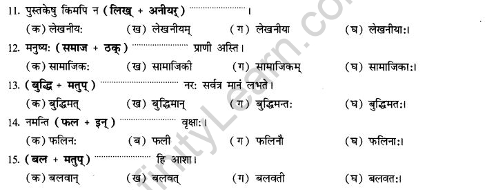 NCERT Solutions for Class 10th Sanskrit Chapter 4 Pratyayah 51