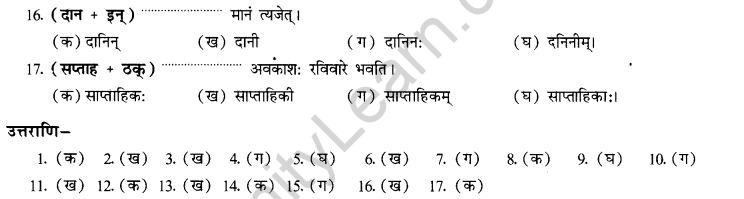 NCERT Solutions for Class 10th Sanskrit Chapter 4 Pratyayah 52