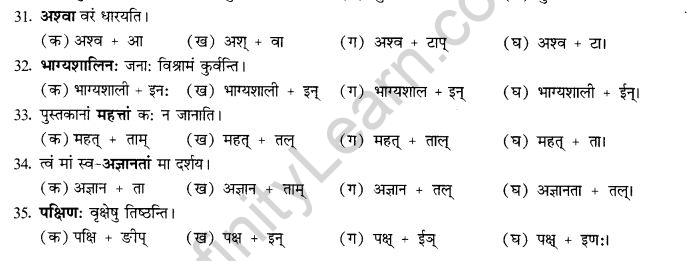 NCERT Solutions for Class 10th Sanskrit Chapter 4 Pratyayah 61