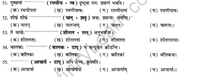NCERT Solutions for Class 10th Sanskrit Chapter 4 Pratyayah 63