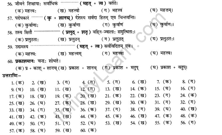 NCERT Solutions for Class 10th Sanskrit Chapter 4 Pratyayah 64