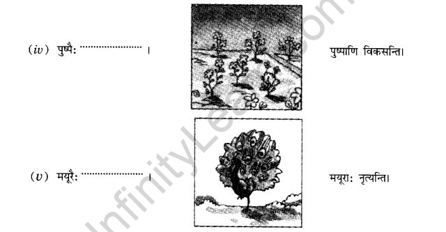 NCERT Solutions for Class 10th Sanskrit Chapter 5 वाच्यम् 11