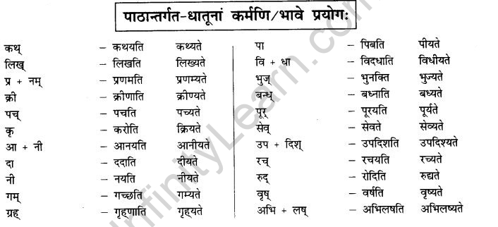 NCERT Solutions for Class 10th Sanskrit Chapter 5 वाच्यम् 16