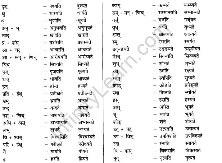 NCERT Solutions for Class 10th Sanskrit Chapter 5 वाच्यम् 17
