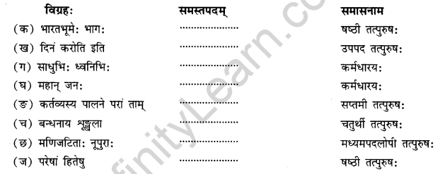 NCERT Solutions for Class 11 Sanskrit Chapter 7 महाजनो येन गतः स पन्थाः Q4