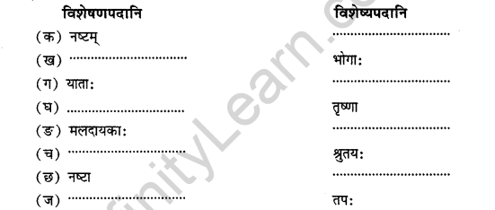 NCERT Solutions for Class 11 Sanskrit Chapter 7 महाजनो येन गतः स पन्थाः Q6