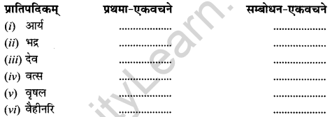 NCERT Solutions for Class 12 Sanskrit Chapter 3 राष्ट्रचिन्ता गरीयसी 3