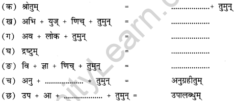 NCERT Solutions for Class 12 Sanskrit Chapter 3 राष्ट्रचिन्ता गरीयसी 5
