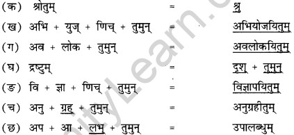 NCERT Solutions for Class 12 Sanskrit Chapter 3 राष्ट्रचिन्ता गरीयसी 6