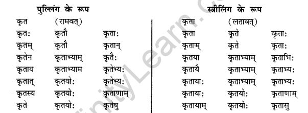 NCERT Solutions for Class 12 Sanskrit Chapter 5 अहो! राजते कीदृशीयं हिमानी Q10.1