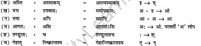 NCERT Solutions for Class 12 Sanskrit Chapter 7 दारिद्र्ये दुर्लभं सत्त्वम् Q4.1