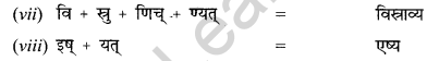 NCERT Solutions for Class 12 Sanskrit Chapter 8 आश्चर्यमयं विज्ञानजगत् Q4.2