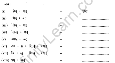 NCERT Solutions for Class 12 Sanskrit Chapter 8 आश्चर्यमयं विज्ञानजगत् Q4