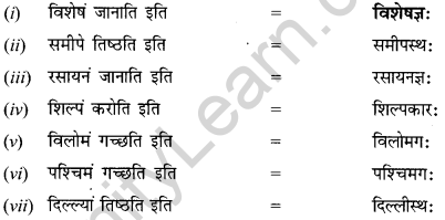 NCERT Solutions for Class 12 Sanskrit Chapter 8 आश्चर्यमयं विज्ञानजगत् Q5.1