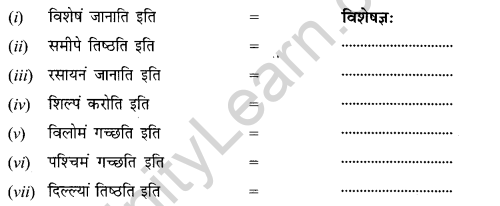 NCERT Solutions for Class 12 Sanskrit Chapter 8 आश्चर्यमयं विज्ञानजगत् Q5