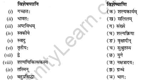 NCERT Solutions for Class 12 Sanskrit Chapter 8 आश्चर्यमयं विज्ञानजगत् Q6