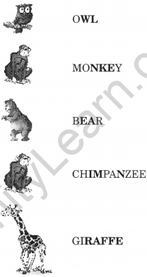 NCERT Solutions for Class 2 English Chapter 10 Zoo Manners Lets Do Q2.1
