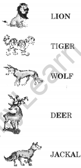 NCERT Solutions for Class 2 English Chapter 10 Zoo Manners Lets Do Q2