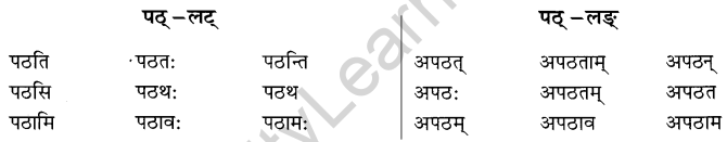 NCERT Solutions for Class 8 Sanskrit Chapter 6 क्रियापदानि तथा धातुरुपाणि 1