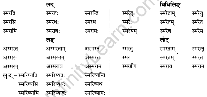 NCERT Solutions for Class 8 Sanskrit Chapter 6 क्रियापदानि तथा धातुरुपाणि 10
