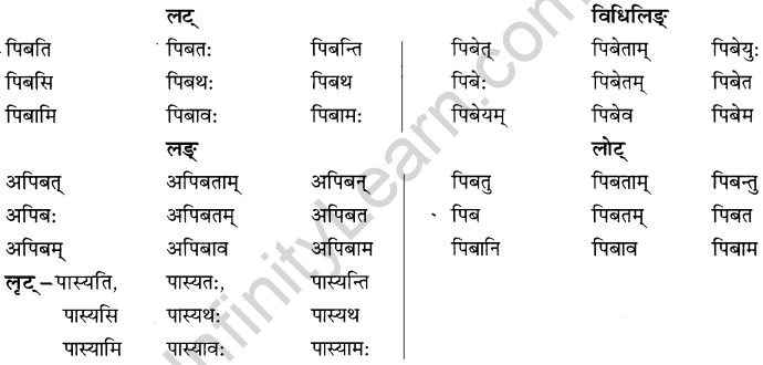NCERT Solutions for Class 8 Sanskrit Chapter 6 क्रियापदानि तथा धातुरुपाणि 11