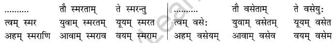 NCERT Solutions for Class 8 Sanskrit Chapter 6 क्रियापदानि तथा धातुरुपाणि 17
