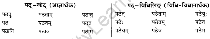 NCERT Solutions for Class 8 Sanskrit Chapter 6 क्रियापदानि तथा धातुरुपाणि 3