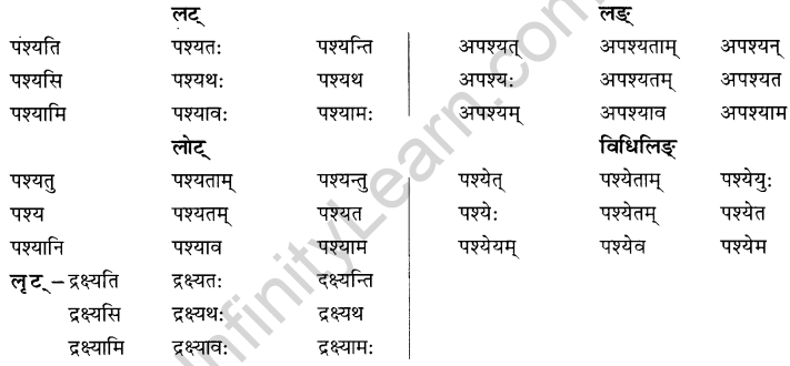 NCERT Solutions for Class 8 Sanskrit Chapter 6 क्रियापदानि तथा धातुरुपाणि 5