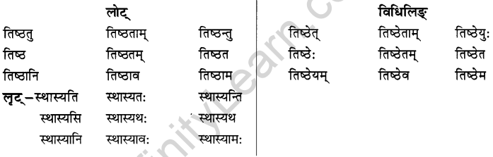 NCERT Solutions for Class 8 Sanskrit Chapter 6 क्रियापदानि तथा धातुरुपाणि 7