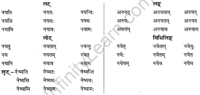 NCERT Solutions for Class 8 Sanskrit Chapter 6 क्रियापदानि तथा धातुरुपाणि 8