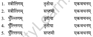 NCERT Solutions for Class 8 Sanskrit Chapter 8 संसारसागरस्य नायकाः Q3.1