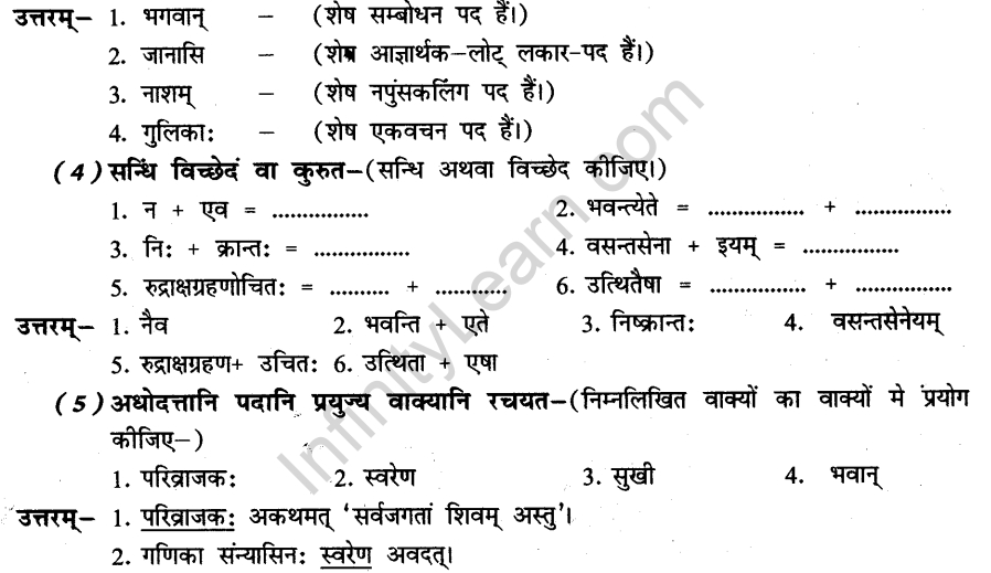 NCERT Solutions for Class 8th Sanskrit Chapter 3 भगवदज्जुकम्र 10